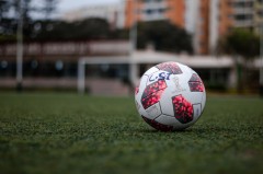 森林自然竞技：挑战乐趣与运气的较量